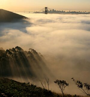 Advektionsnebel Golden Gate Bridge.jpg