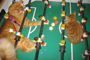 Katzen beim Tischfußball.jpg